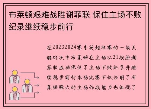 布莱顿艰难战胜谢菲联 保住主场不败纪录继续稳步前行