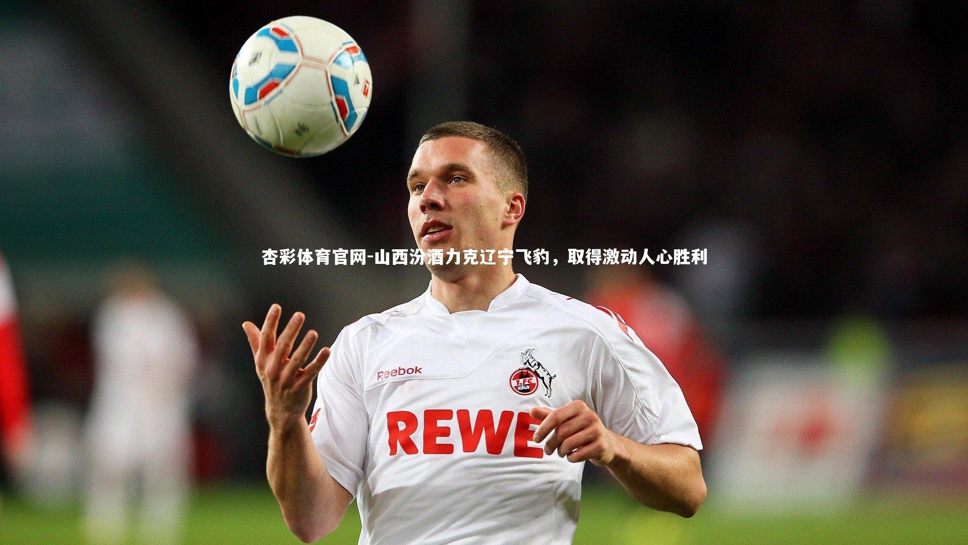 山西汾酒力克辽宁飞豹，取得激动人心胜利