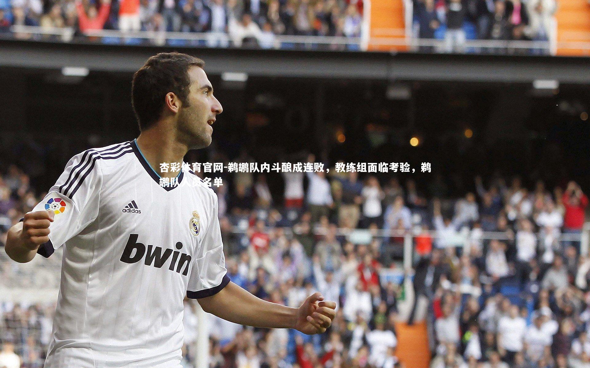 杏彩体育官网-鹈鹕队内斗酿成连败,教练组面临考验,鹈鹕队人员名单