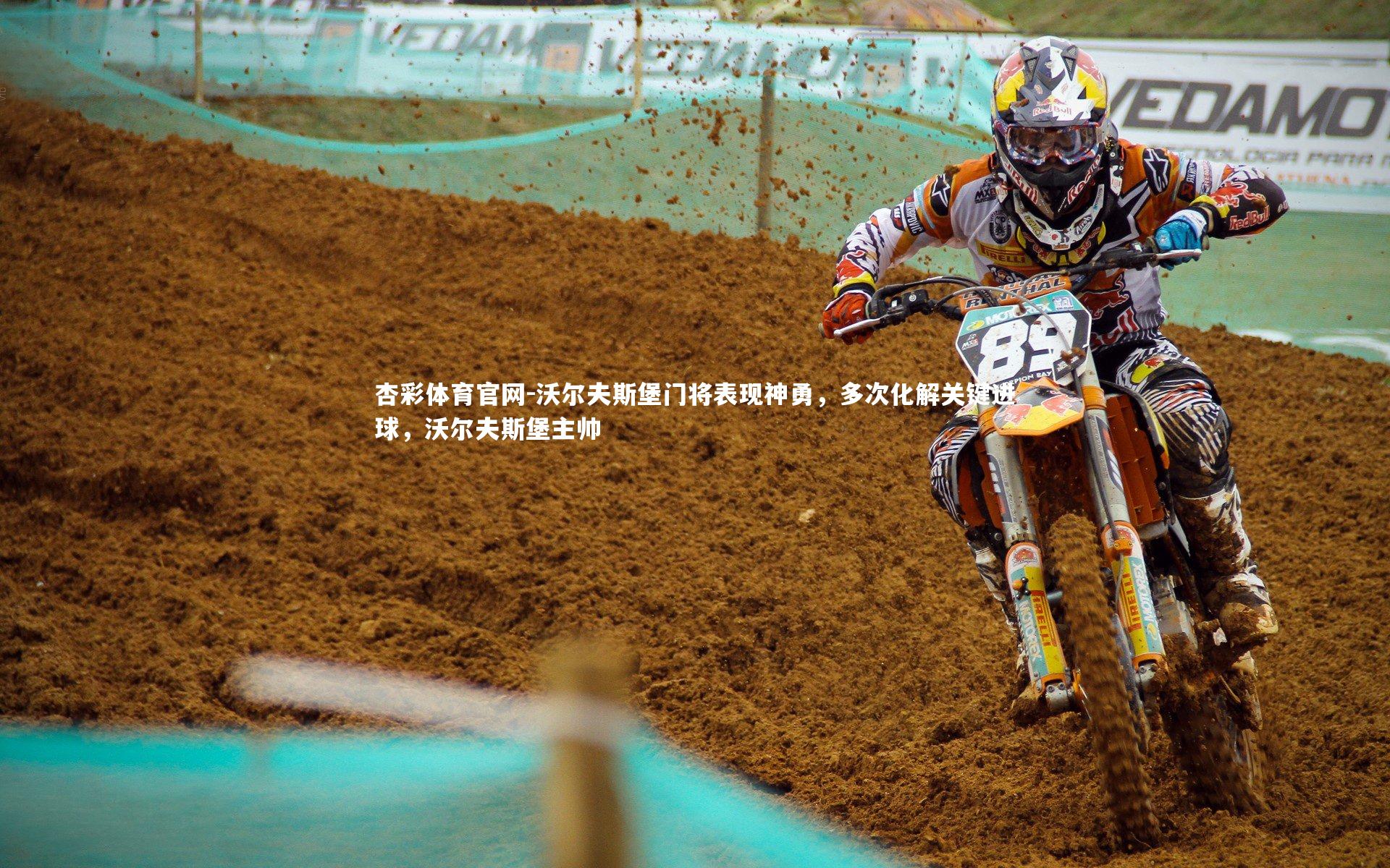 沃尔夫斯堡门将表现神勇,多次化解关键进球,沃尔夫斯堡主帅