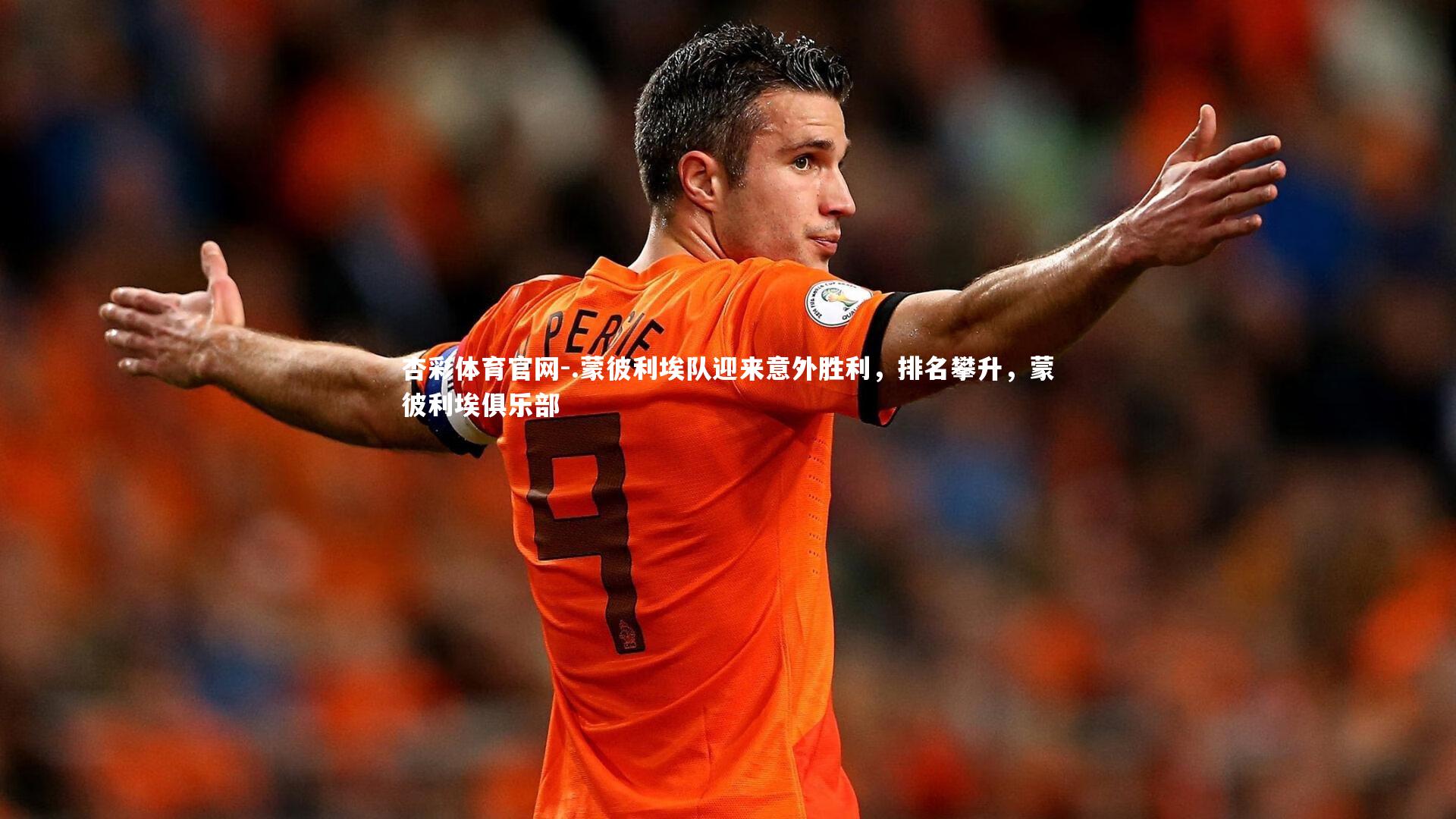 .蒙彼利埃队迎来意外胜利,排名攀升,蒙彼利埃俱乐部